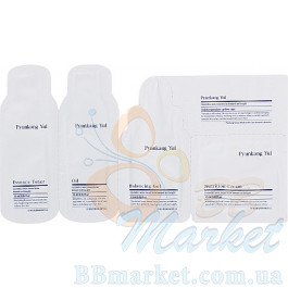 Набор пробников для лица Pyunkang Yul Sample Pouch 1